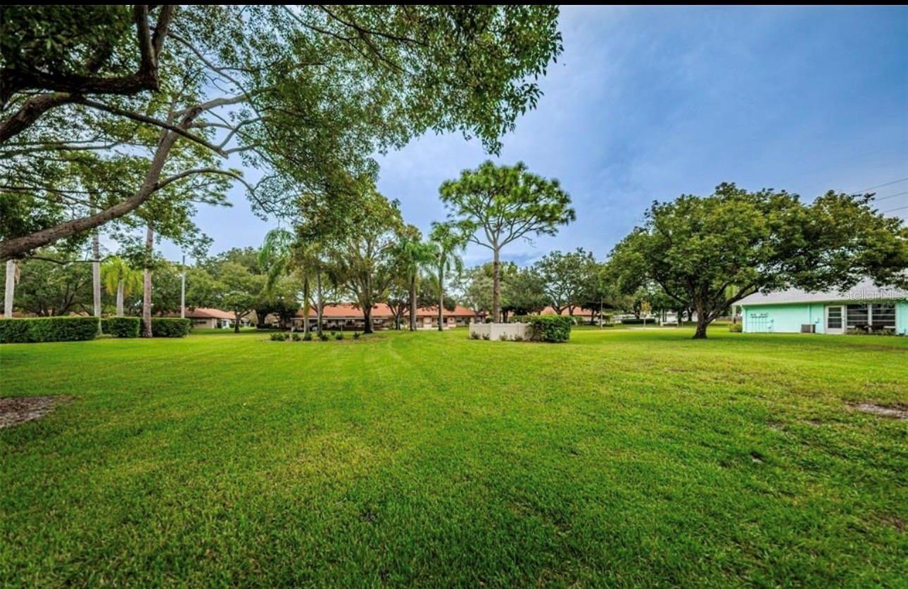 2465 NORTHSIDE DR #2204, CLEARWATER, FL, 33761