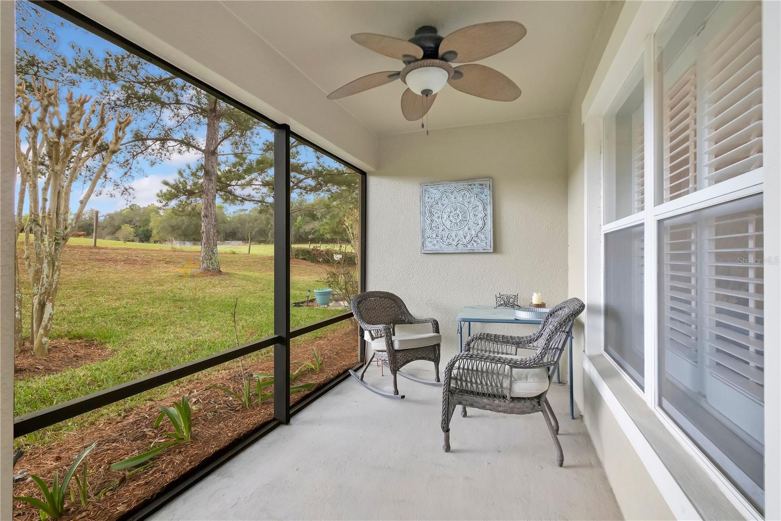 21714 BELGIAN CT, MOUNT DORA, FL, 32757