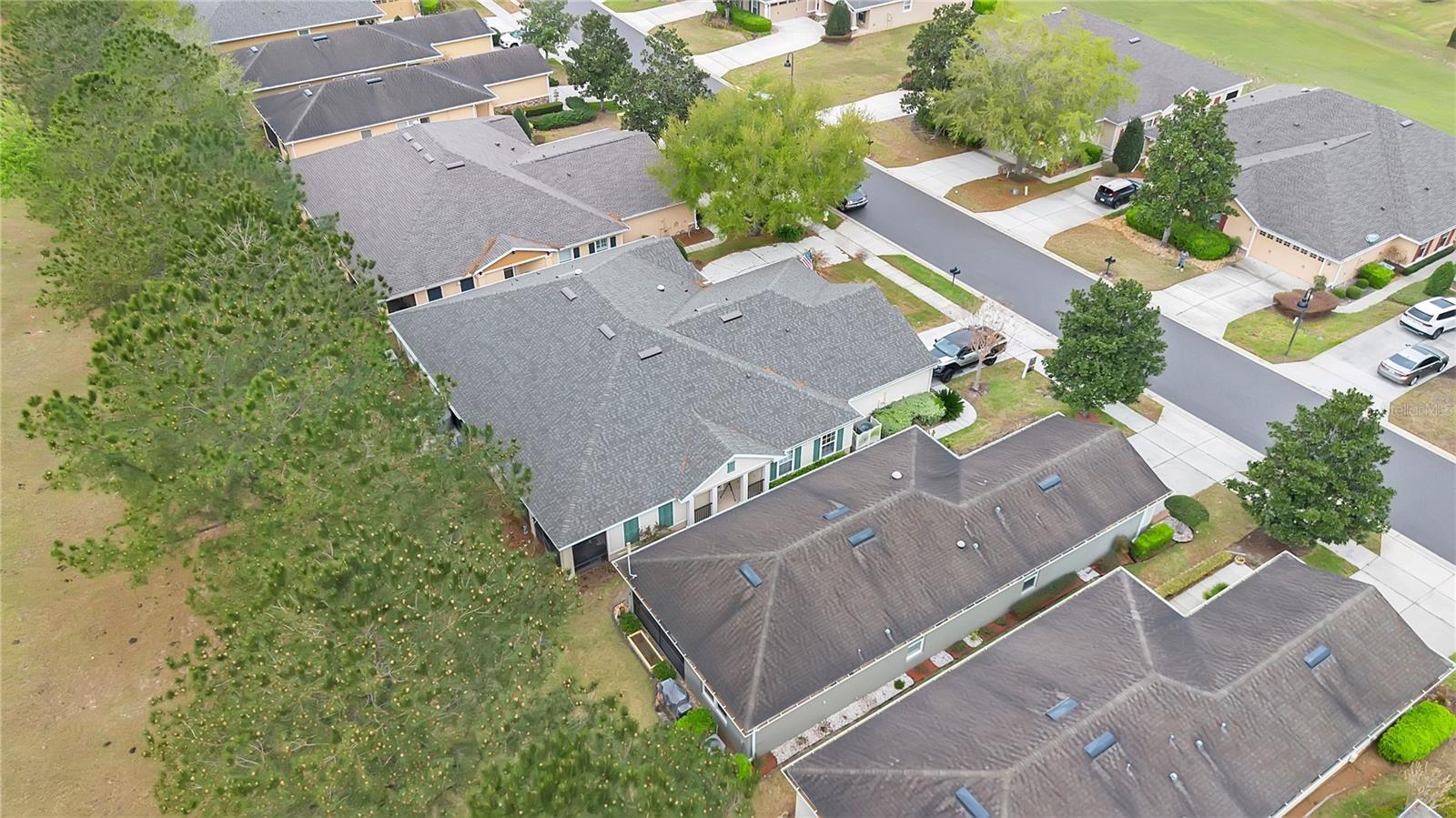 21714 BELGIAN CT, MOUNT DORA, FL, 32757