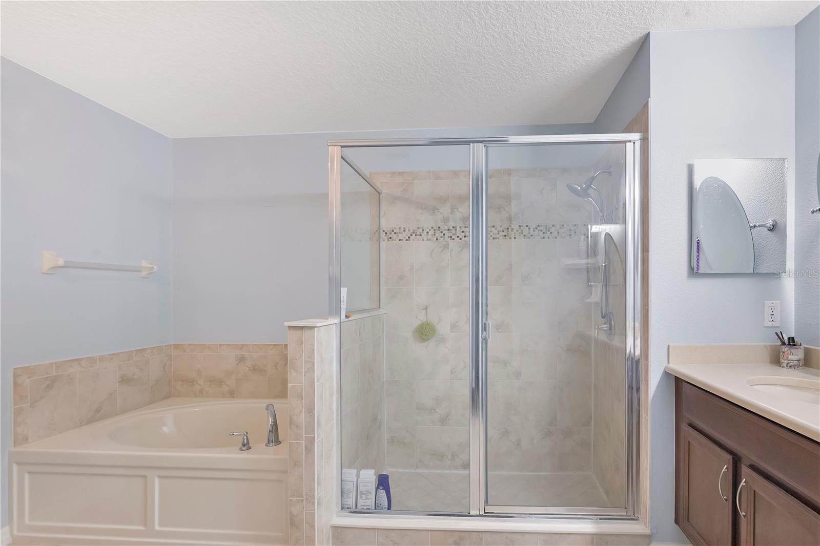 21714 BELGIAN CT, MOUNT DORA, FL, 32757