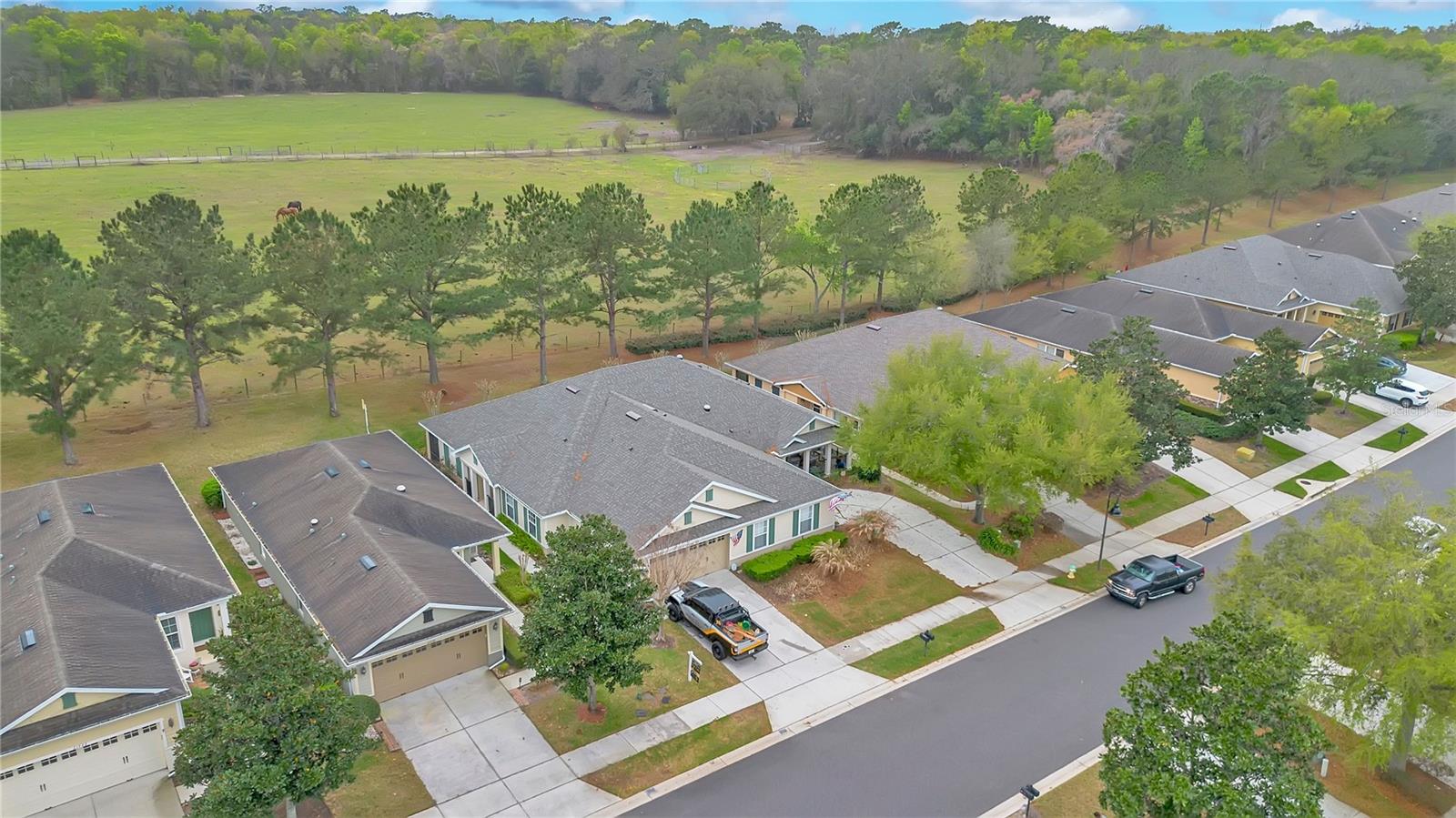 21714 BELGIAN CT, MOUNT DORA, FL, 32757