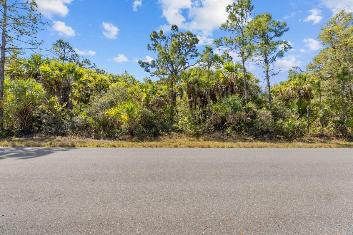 18047 SAVAGE AVE, PORT CHARLOTTE, FL, 33948