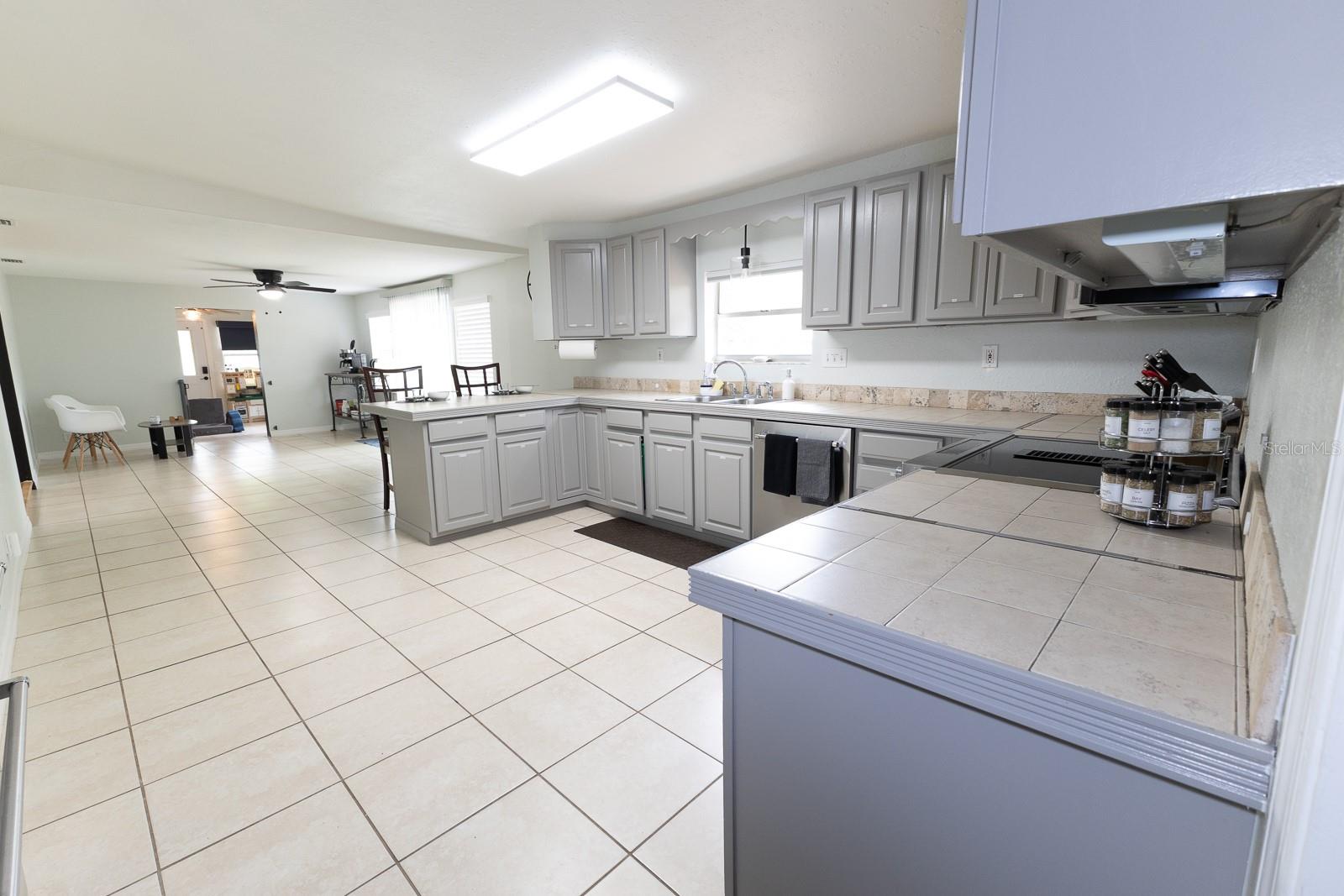 207 MANDARIN LN, FRUITLAND PARK, FL, 34731