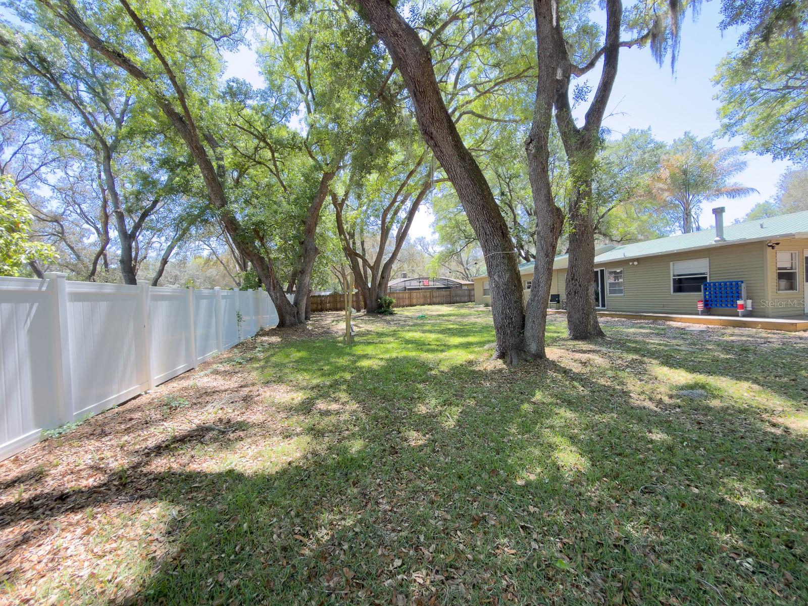 207 MANDARIN LN, FRUITLAND PARK, FL, 34731