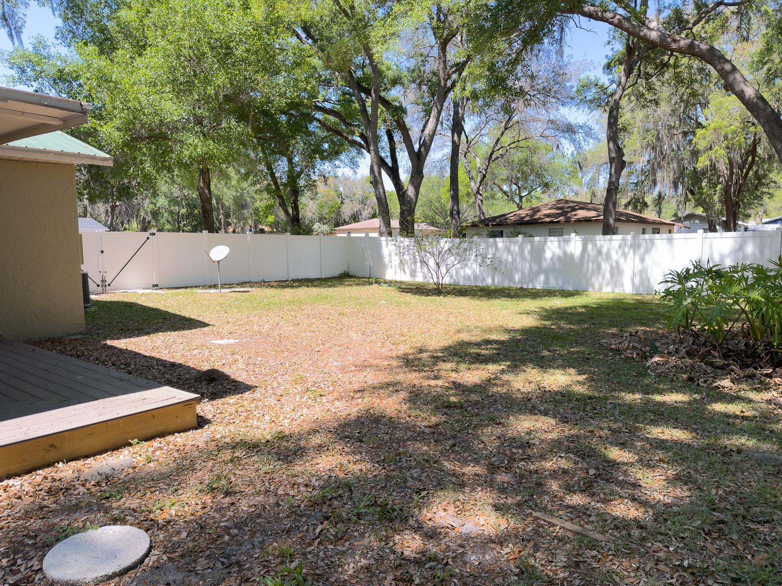 207 MANDARIN LN, FRUITLAND PARK, FL, 34731