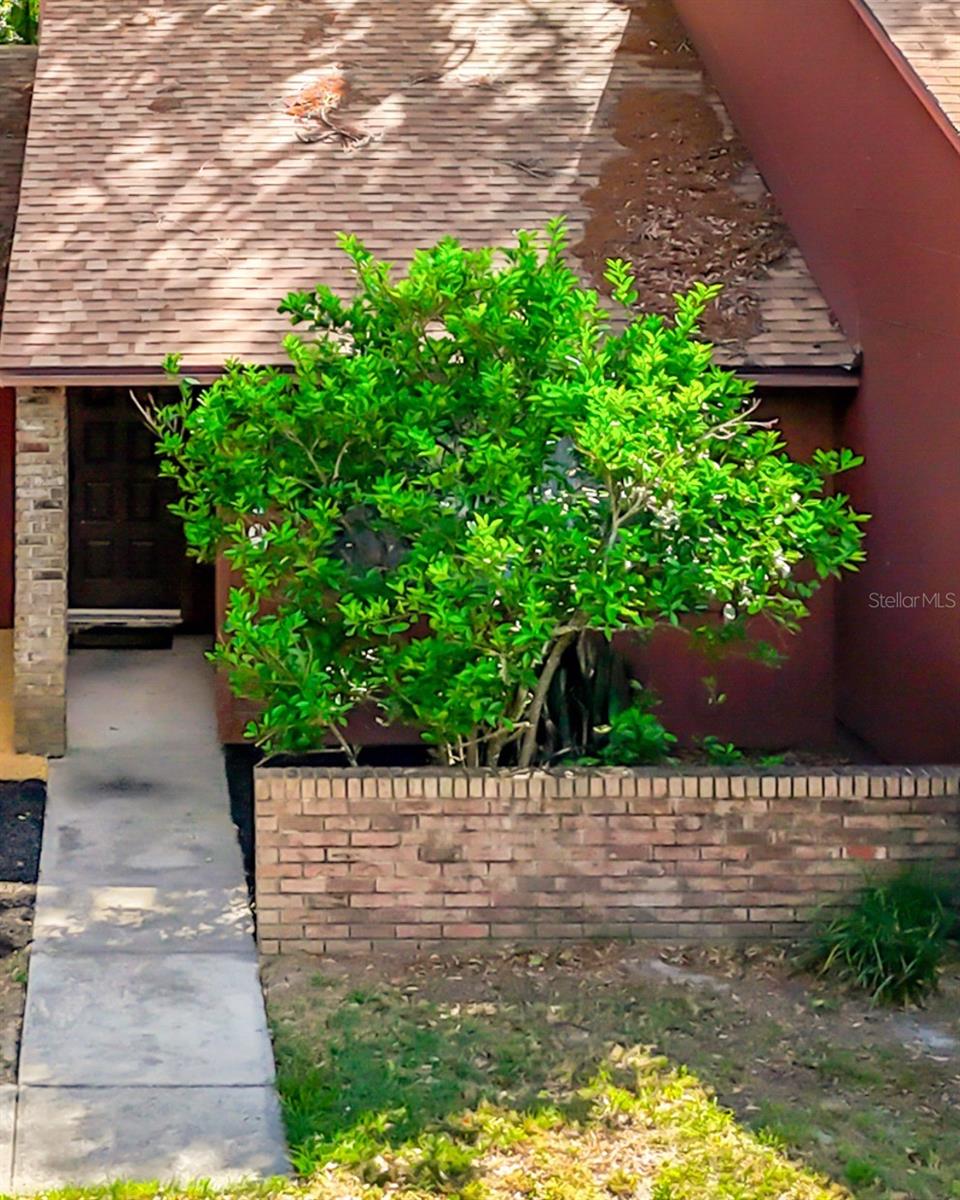 4019 NW 17TH TER, GAINESVILLE, FL, 32605