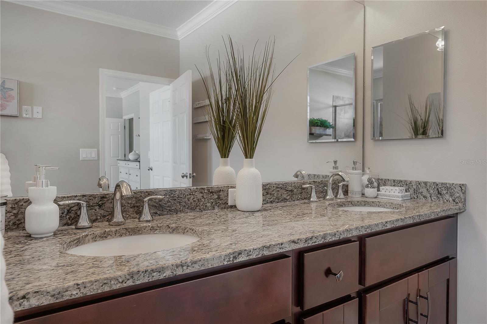 933 MOSCATO PL, PALM HARBOR, FL, 34683