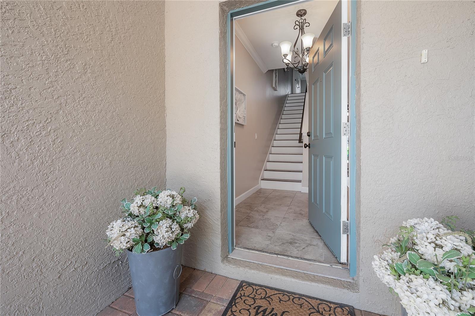 933 MOSCATO PL, PALM HARBOR, FL, 34683