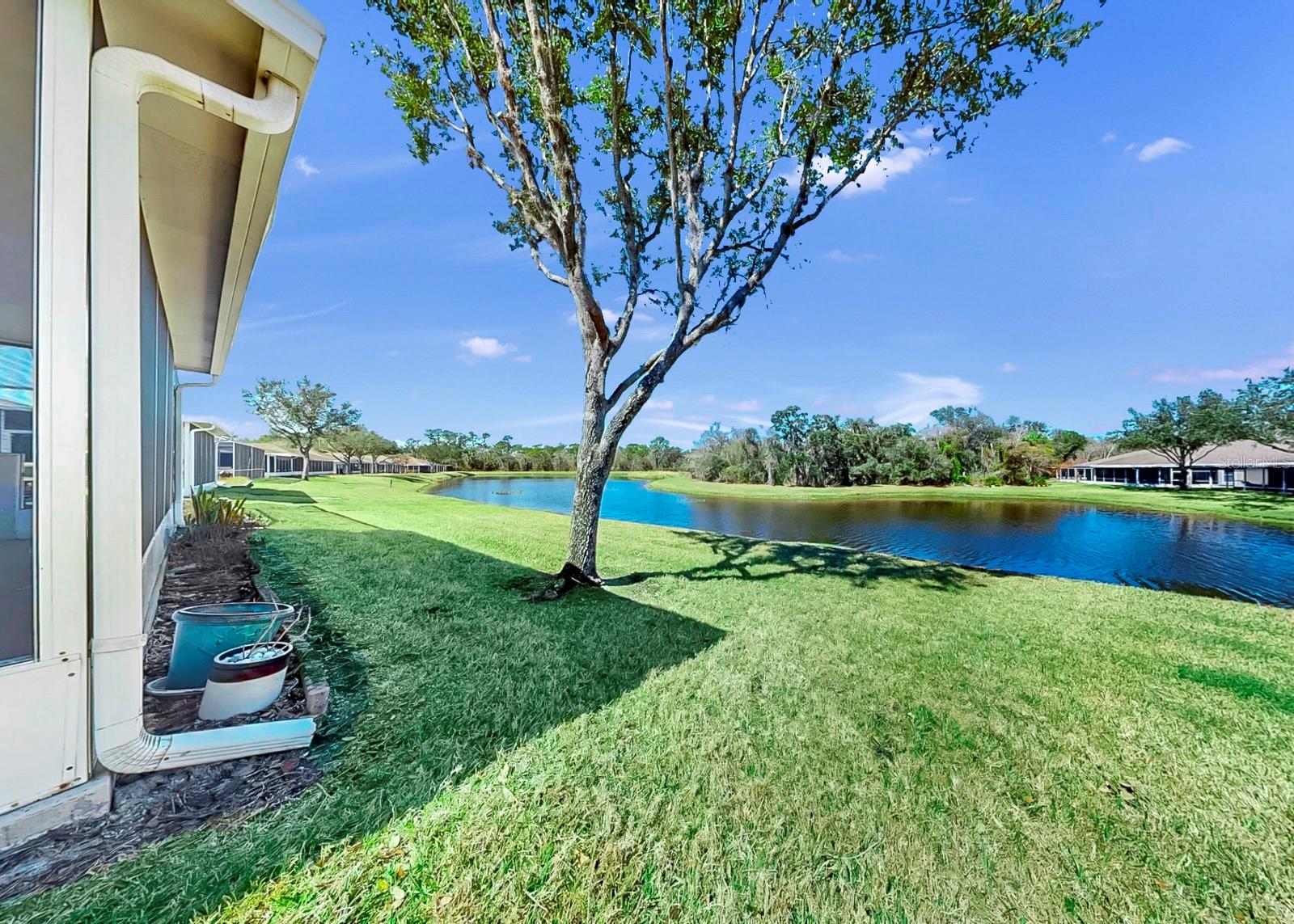 15748 PHOEBE PARK AVE, LITHIA, FL, 33547
