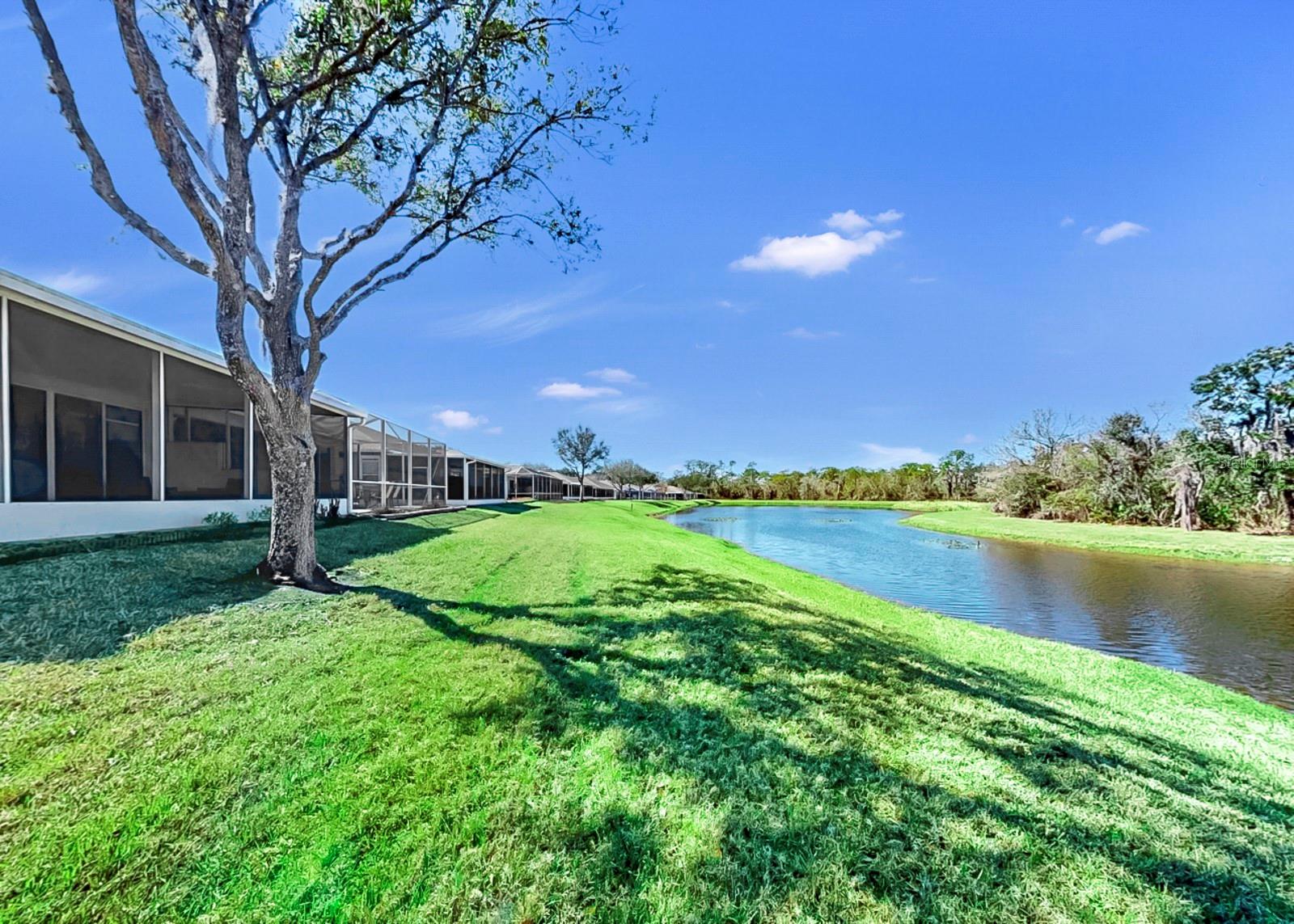 15748 PHOEBE PARK AVE, LITHIA, FL, 33547