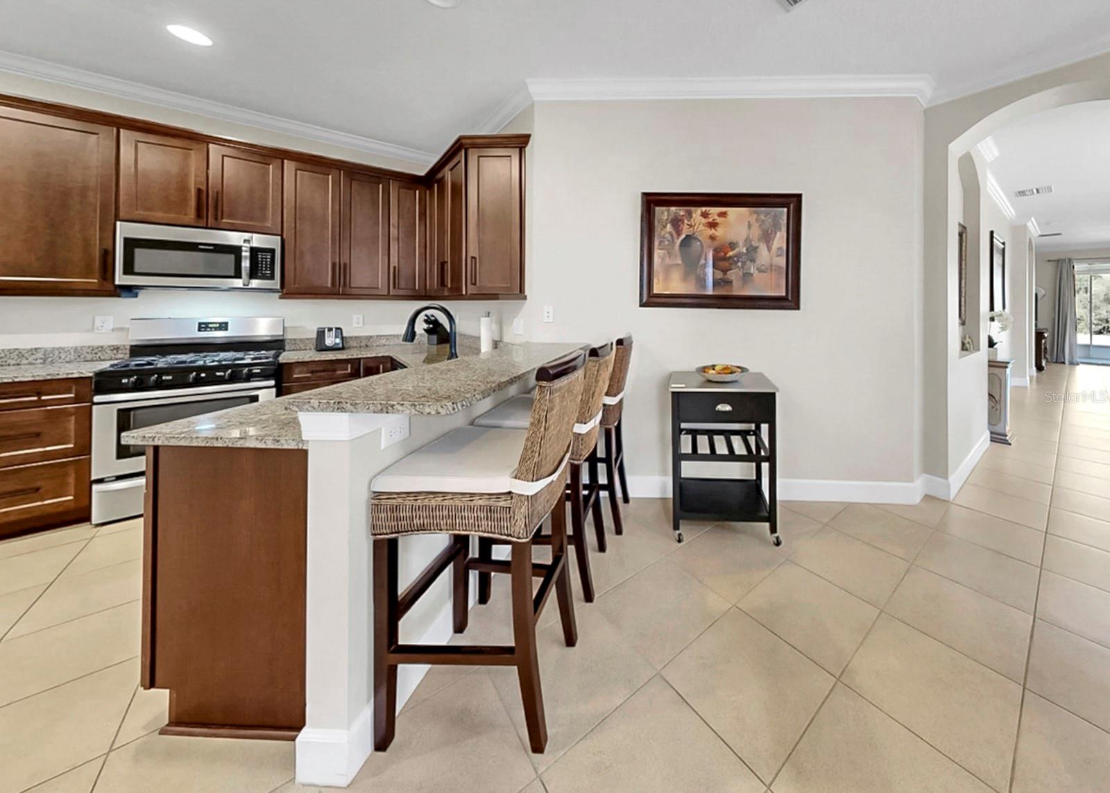 15748 PHOEBE PARK AVE, LITHIA, FL, 33547