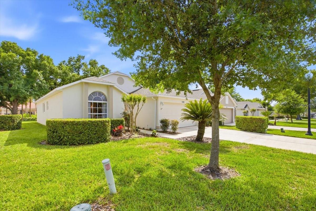 3645 ROLLINGBROOK ST, CLERMONT, FL, 34711