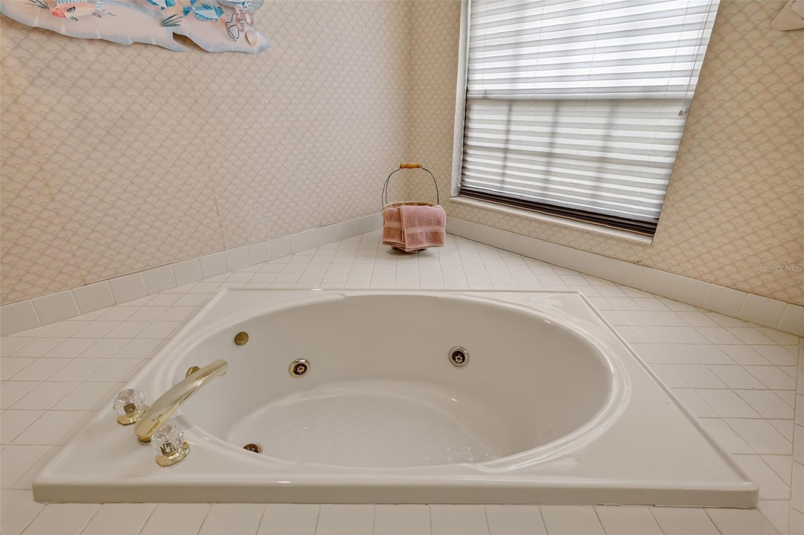 621 HIGH POINT DR, MOUNT DORA, FL, 32757