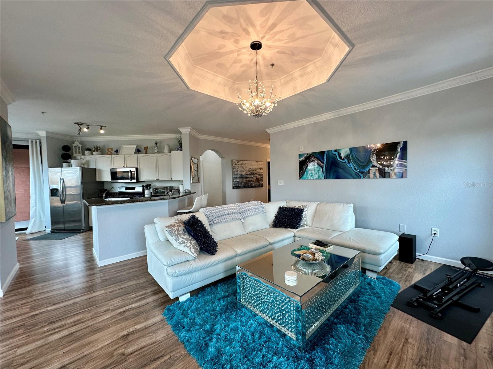 2725 VIA CIPRIANI #730A, CLEARWATER, FL, 33764