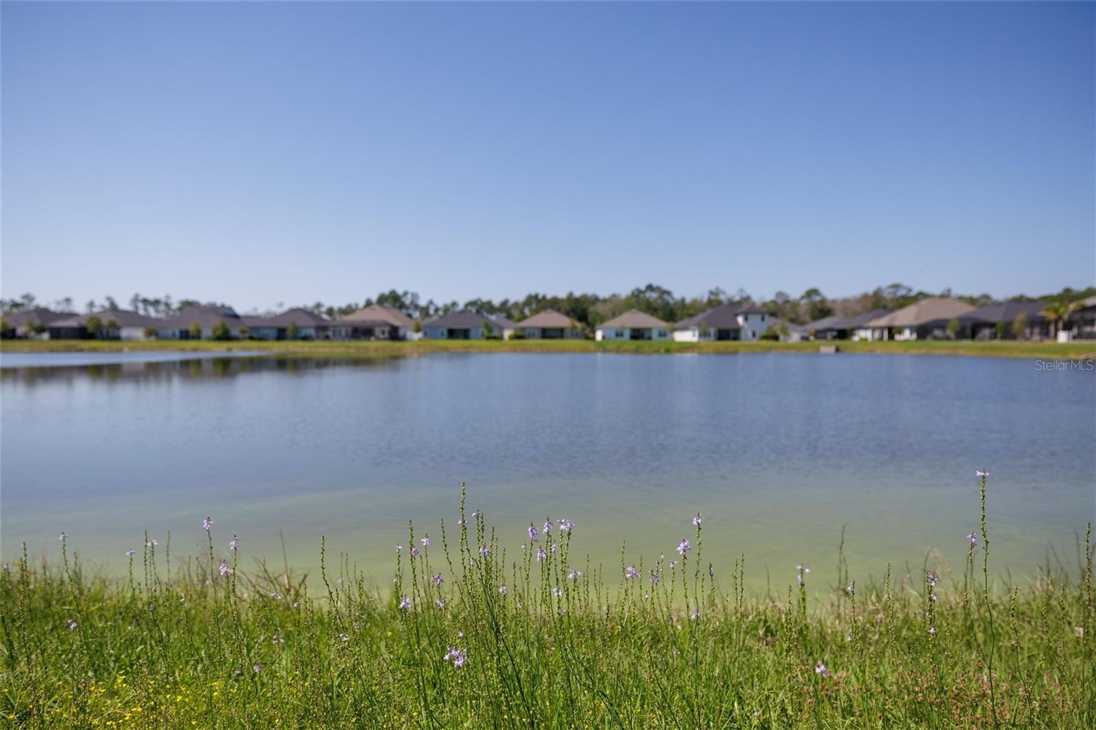 139 WOOD STORK LN, PALM COAST, FL, 32164