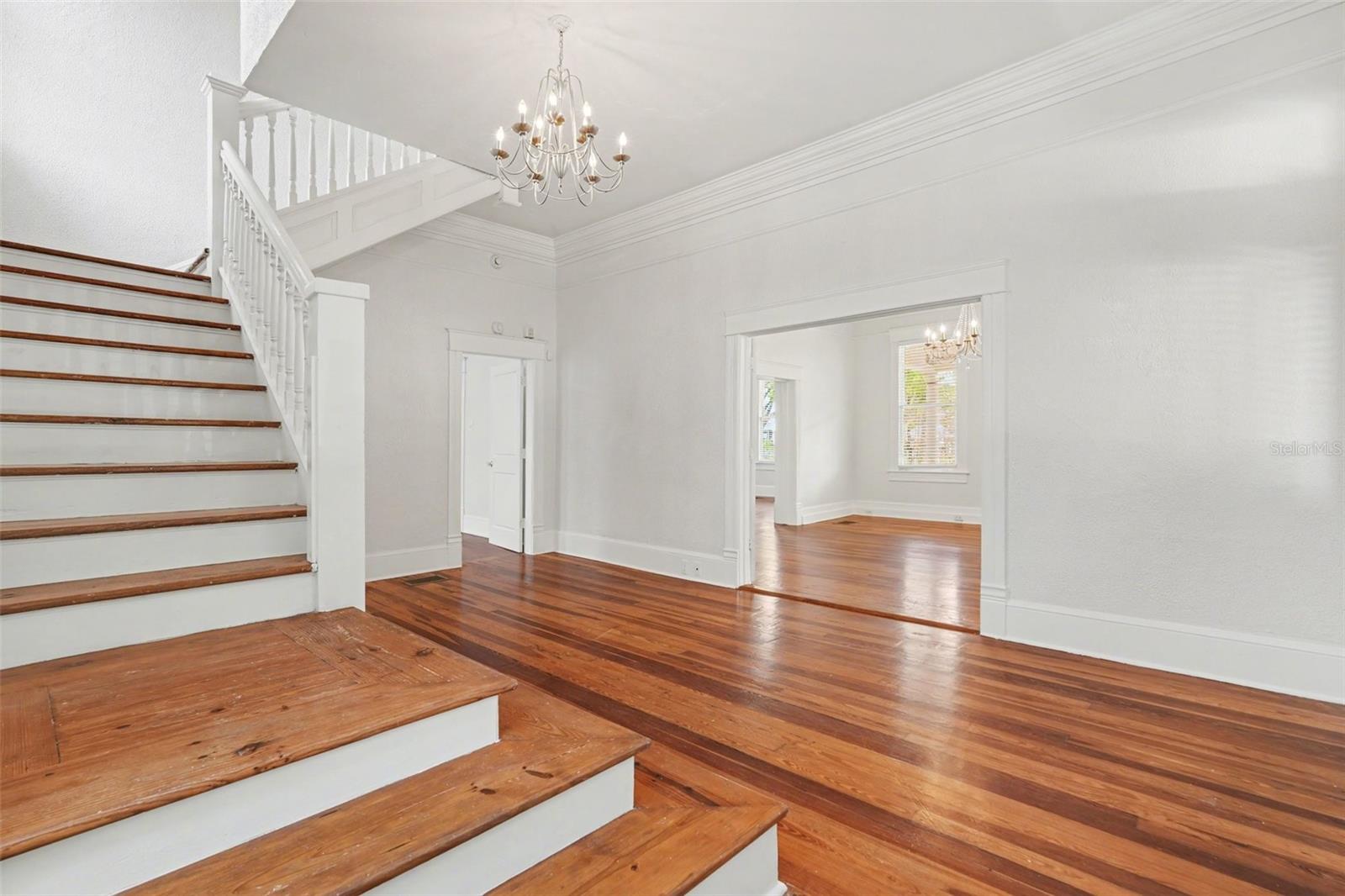 501 W EUCLID AVE, TAMPA, FL, 33602