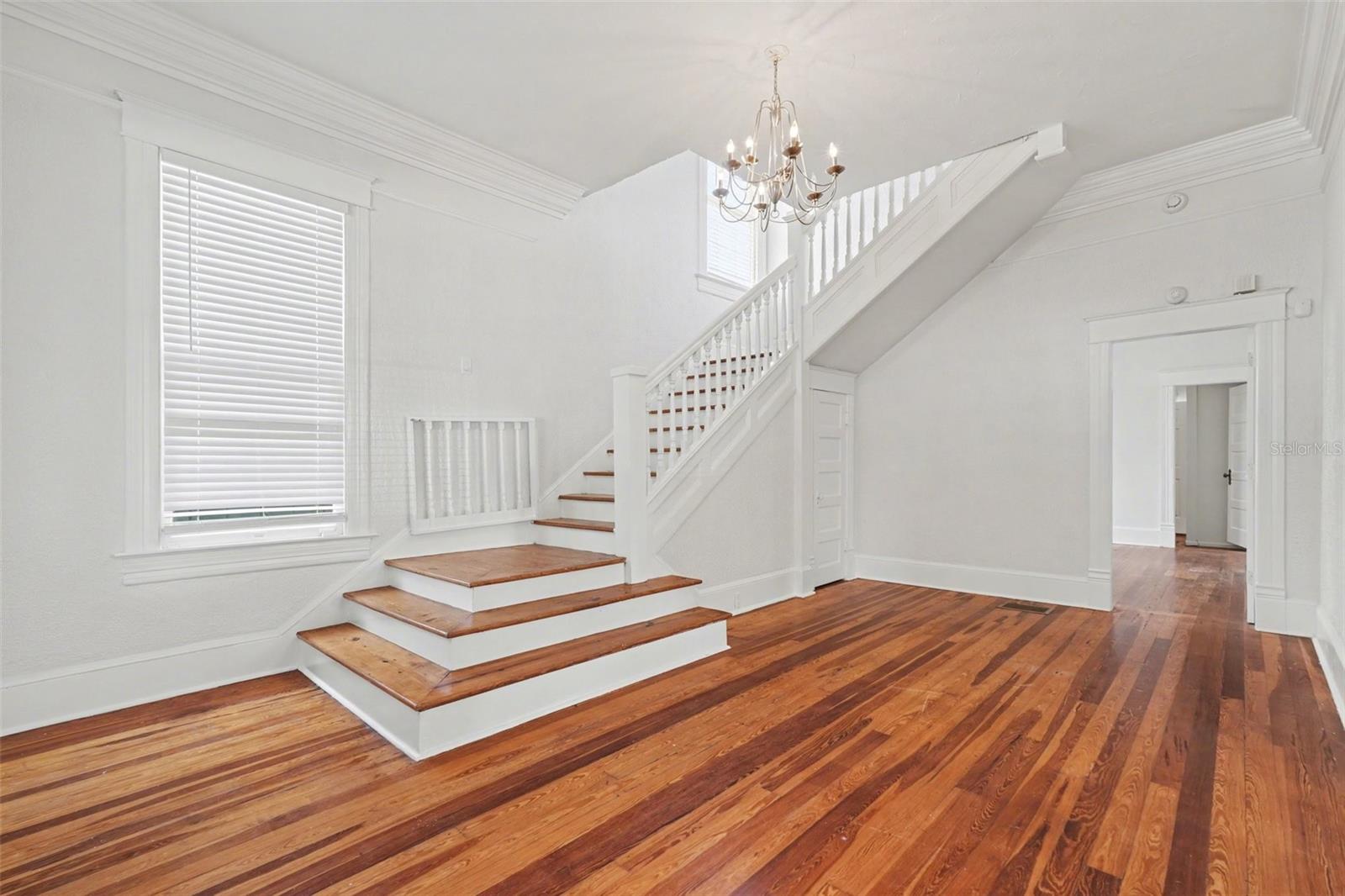 501 W EUCLID AVE, TAMPA, FL, 33602