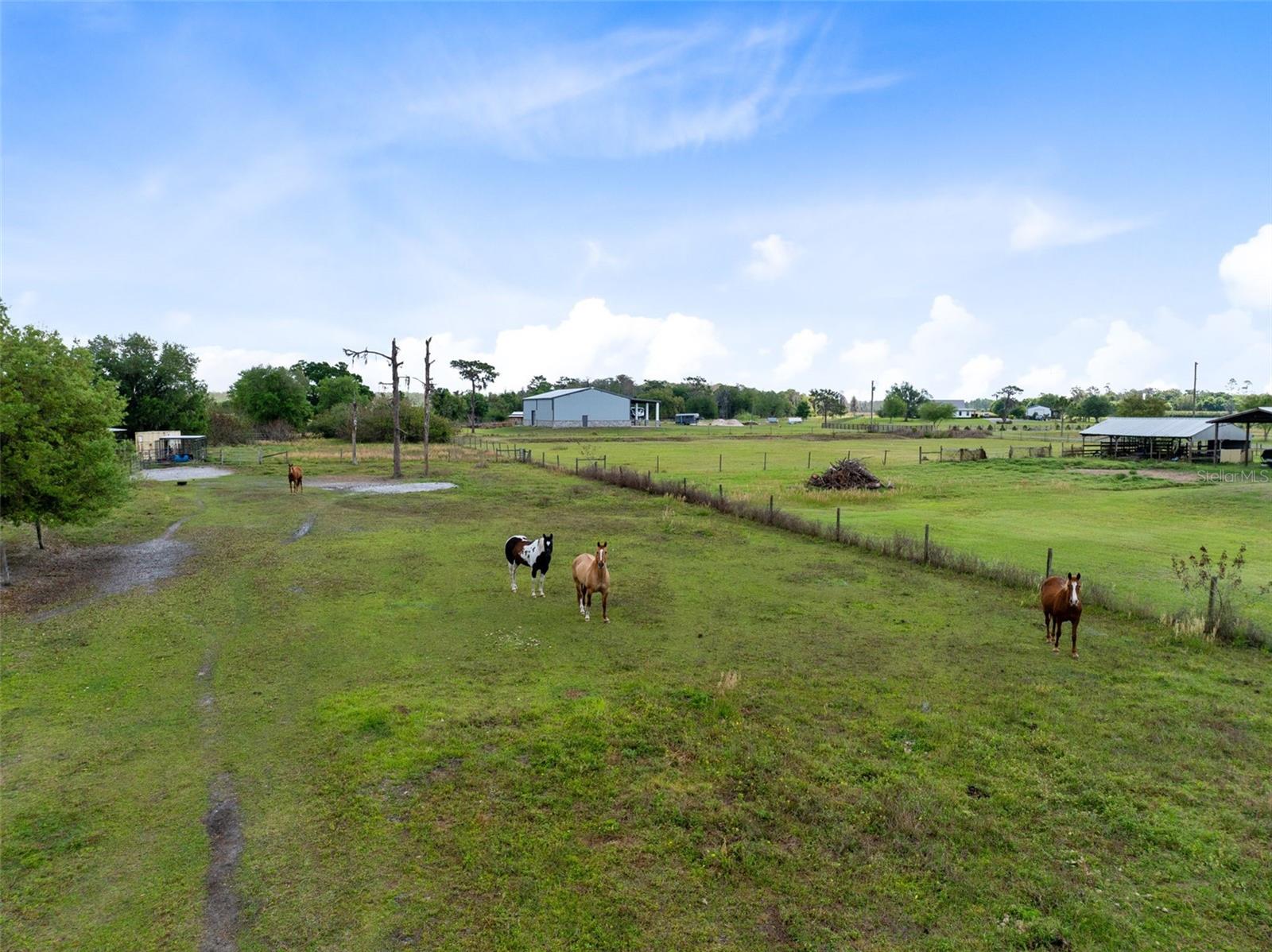 3591 N CANOE CREEK RD, KENANSVILLE, FL, 34739