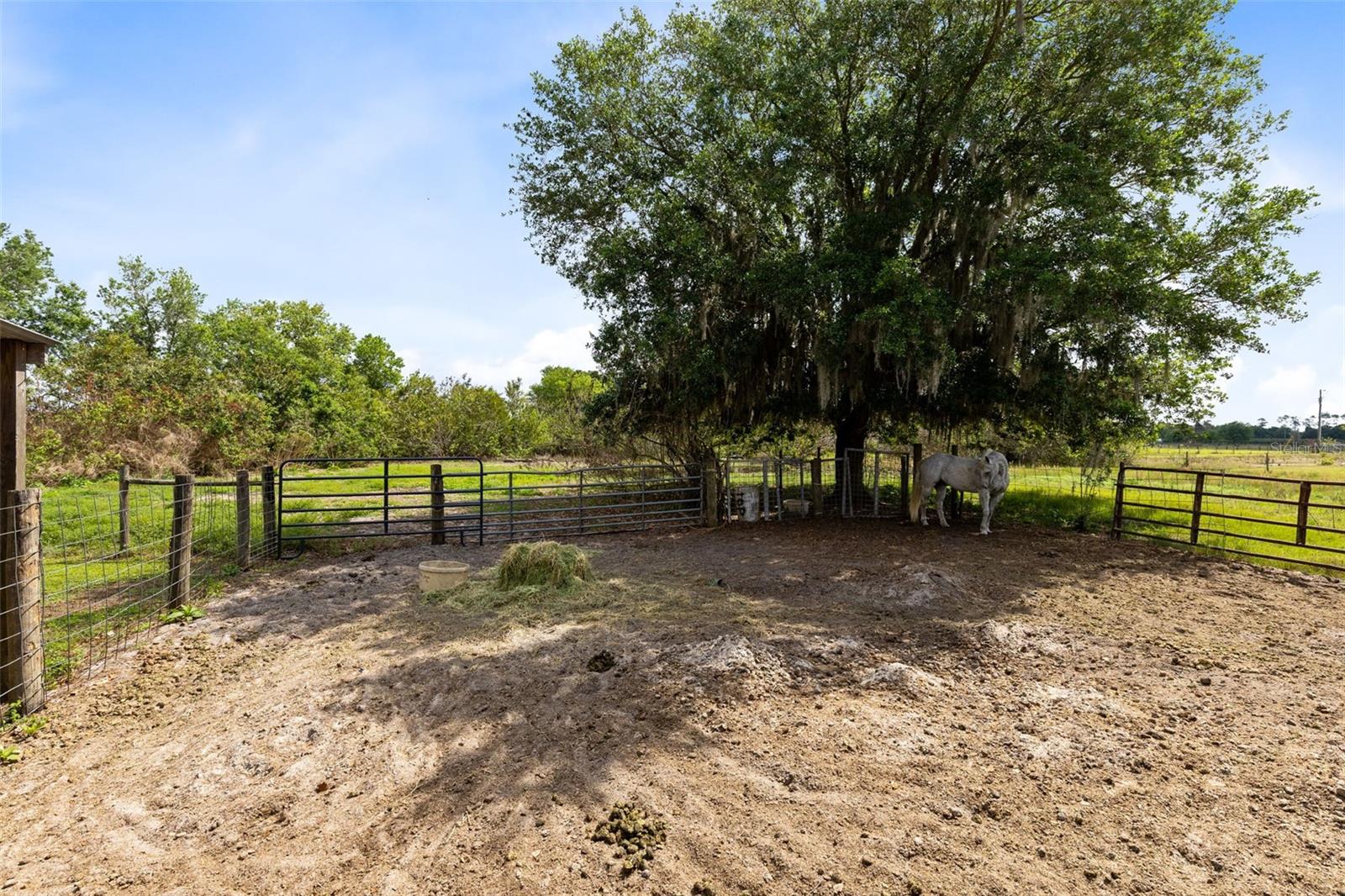 3591 N CANOE CREEK RD, KENANSVILLE, FL, 34739