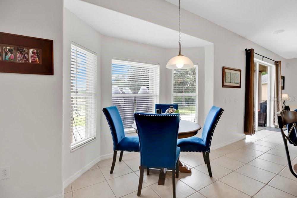 5132 RISHLEY RUN WAY, MOUNT DORA, FL, 32757