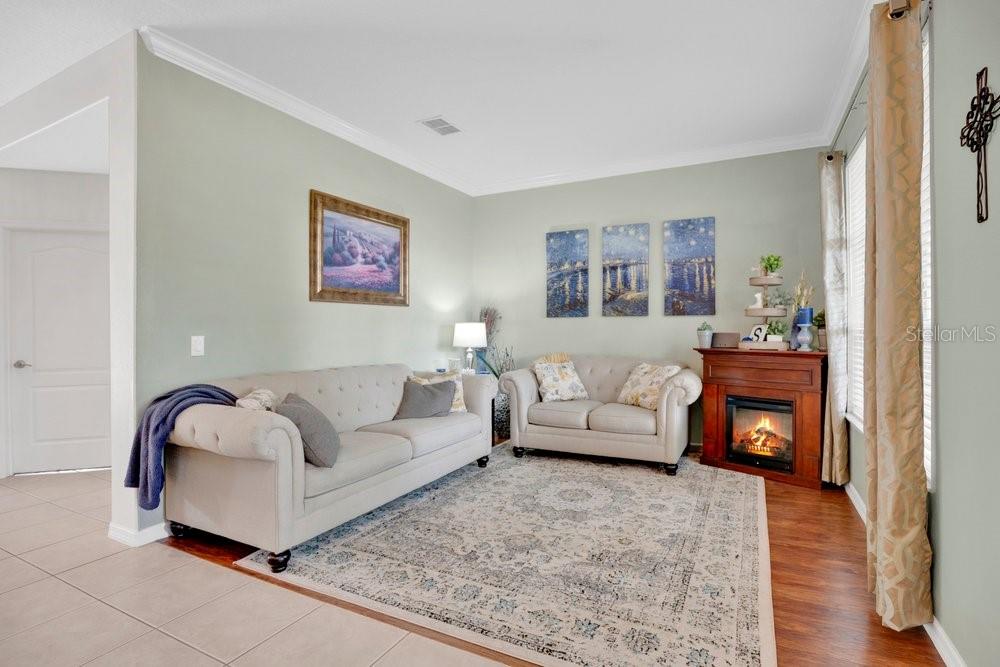 5132 RISHLEY RUN WAY, MOUNT DORA, FL, 32757