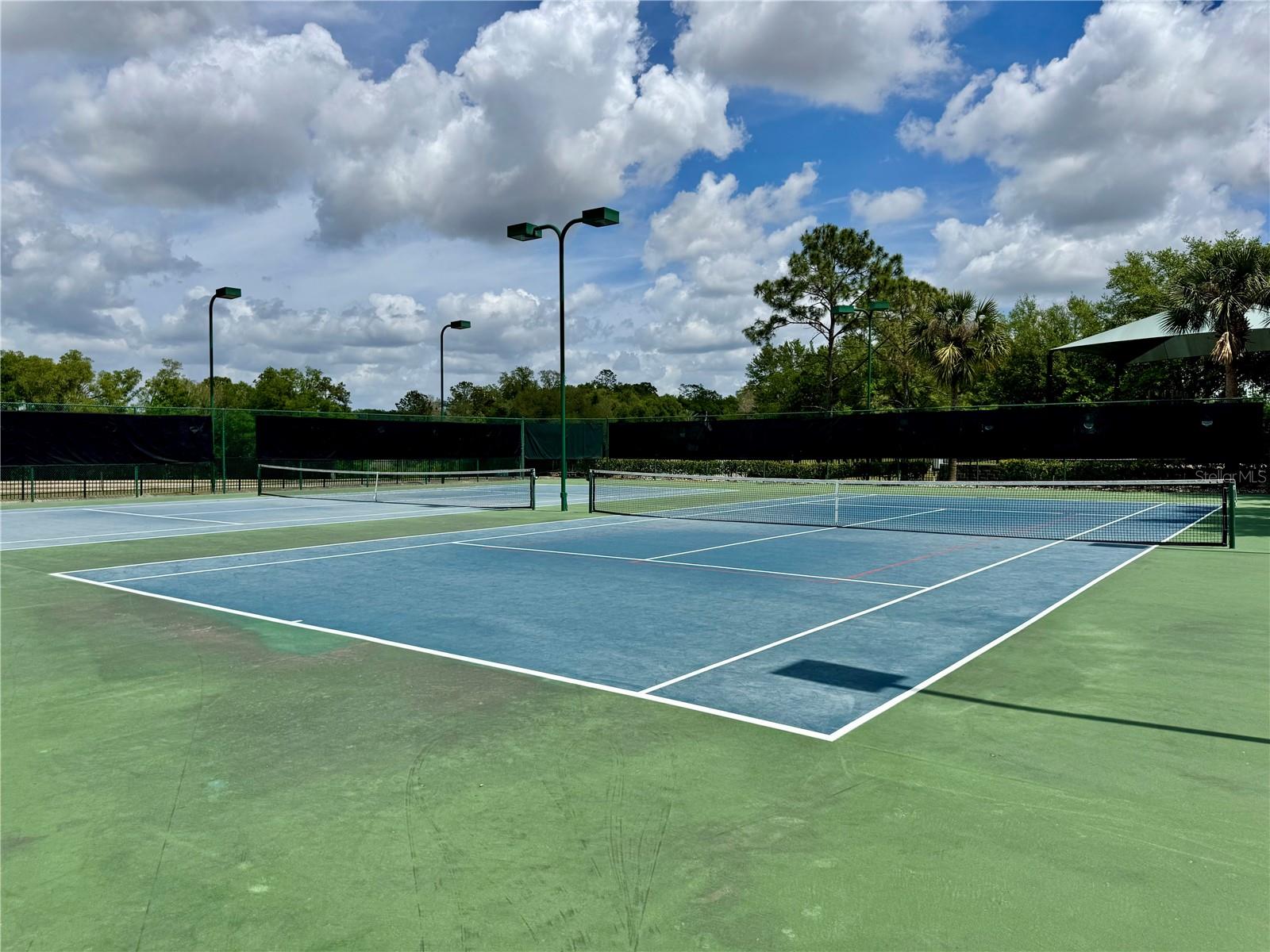 5132 RISHLEY RUN WAY, MOUNT DORA, FL, 32757