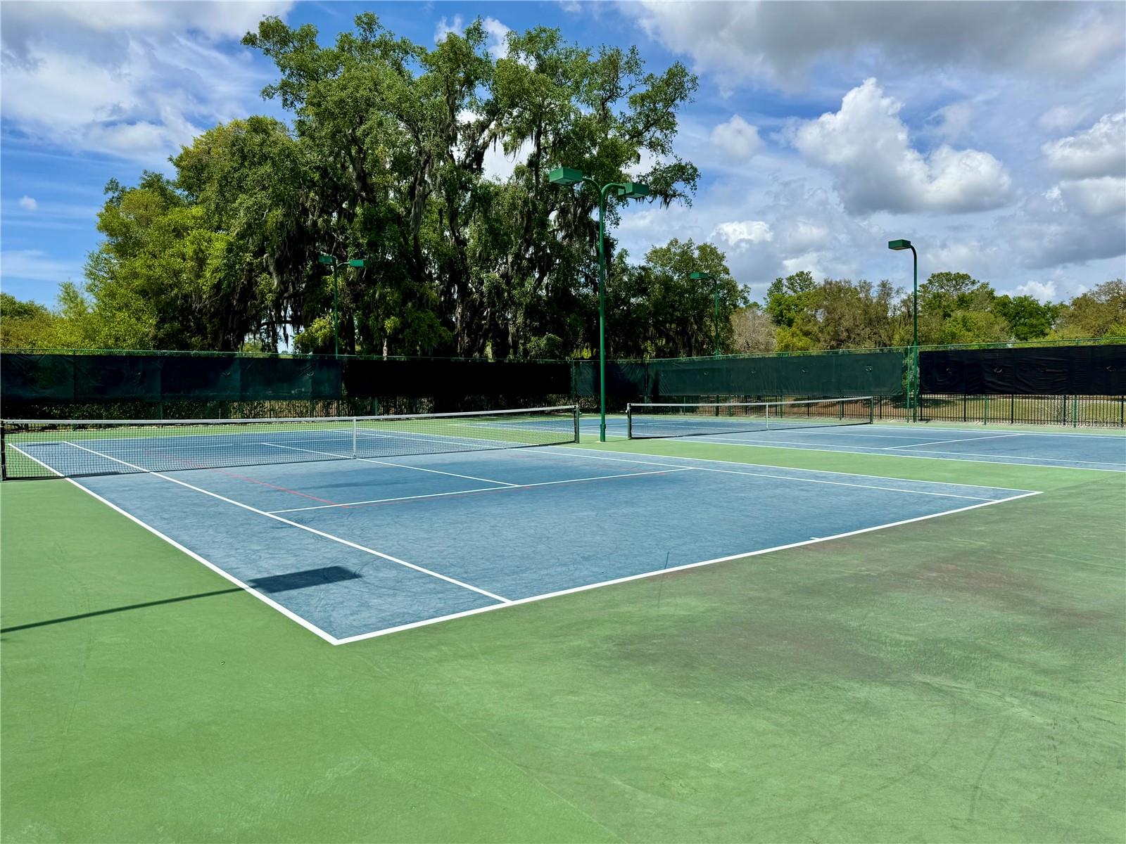 5132 RISHLEY RUN WAY, MOUNT DORA, FL, 32757