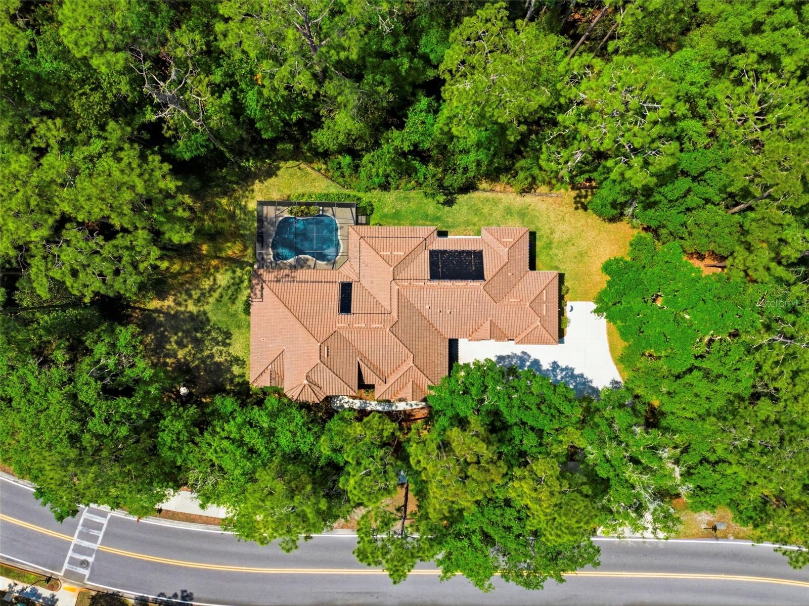 4120 RIDGEMOOR DR, PALM HARBOR, FL, 34685
