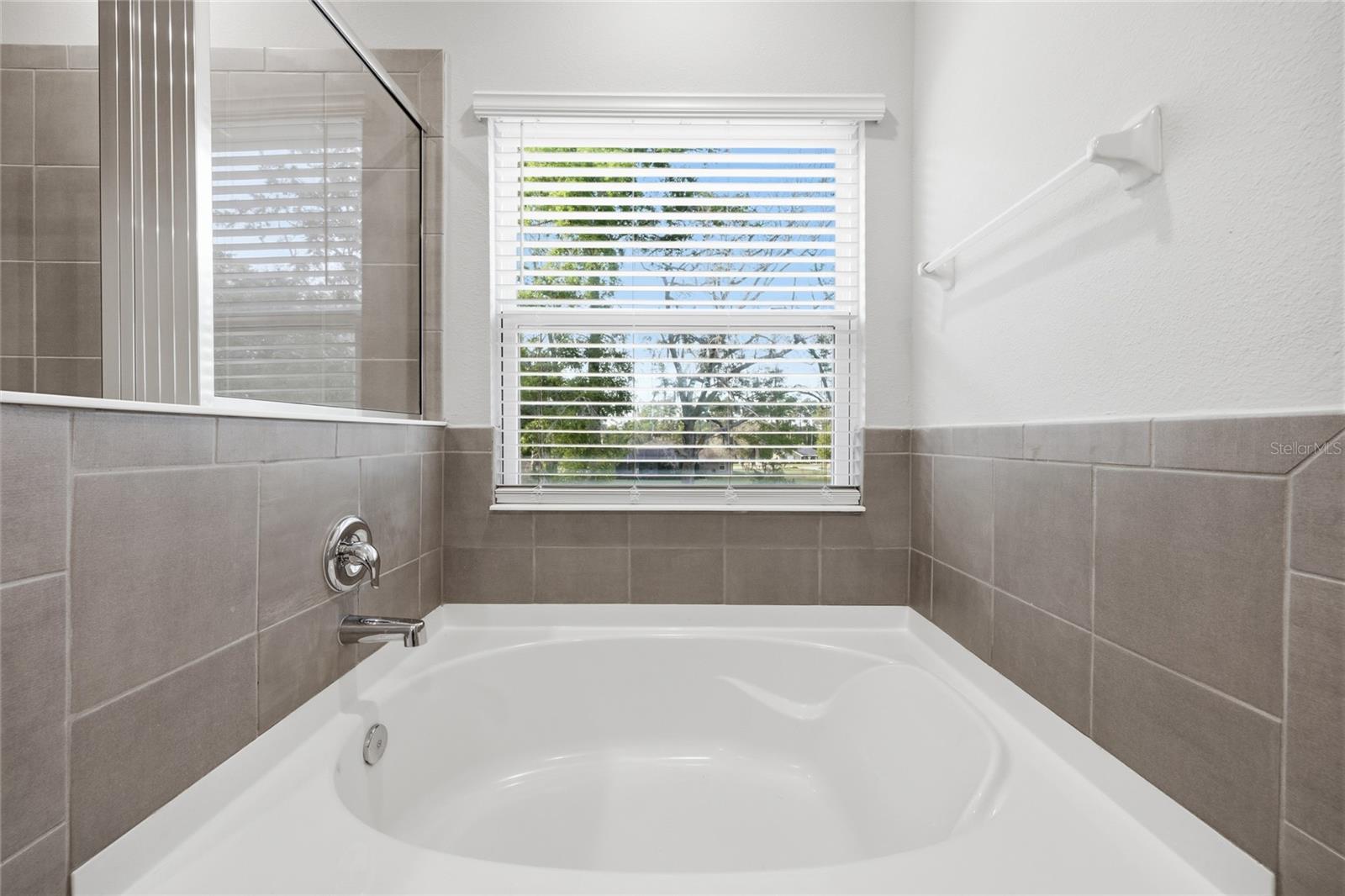 17526 NW 173RD RD, ALACHUA, FL, 32615