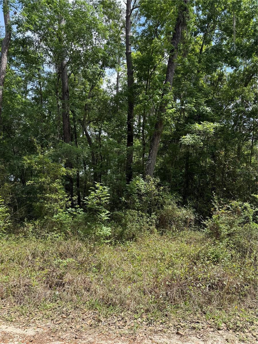 TBD SW 130TH CT, OCALA, FL, 34481