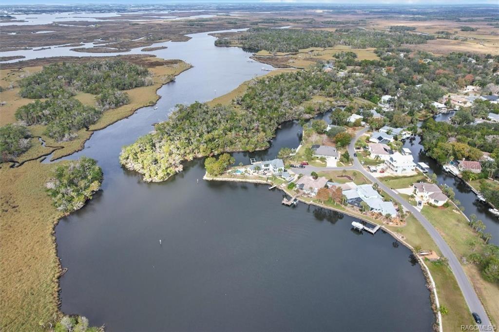 12054 W BROAD JUMP CT, HOMOSASSA, FL, 34448