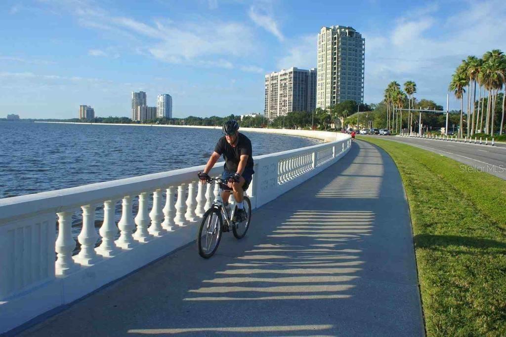 1806 W MORRISON AVE #4, TAMPA, FL, 33606