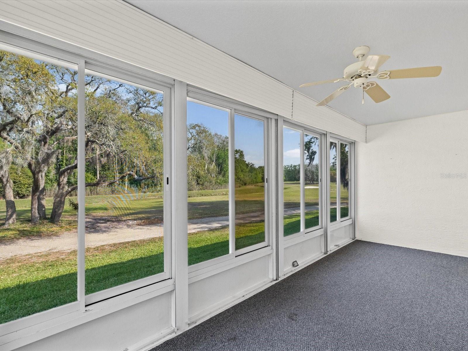 11621 HOLLY ANN DR, NEW PORT RICHEY, FL, 34654