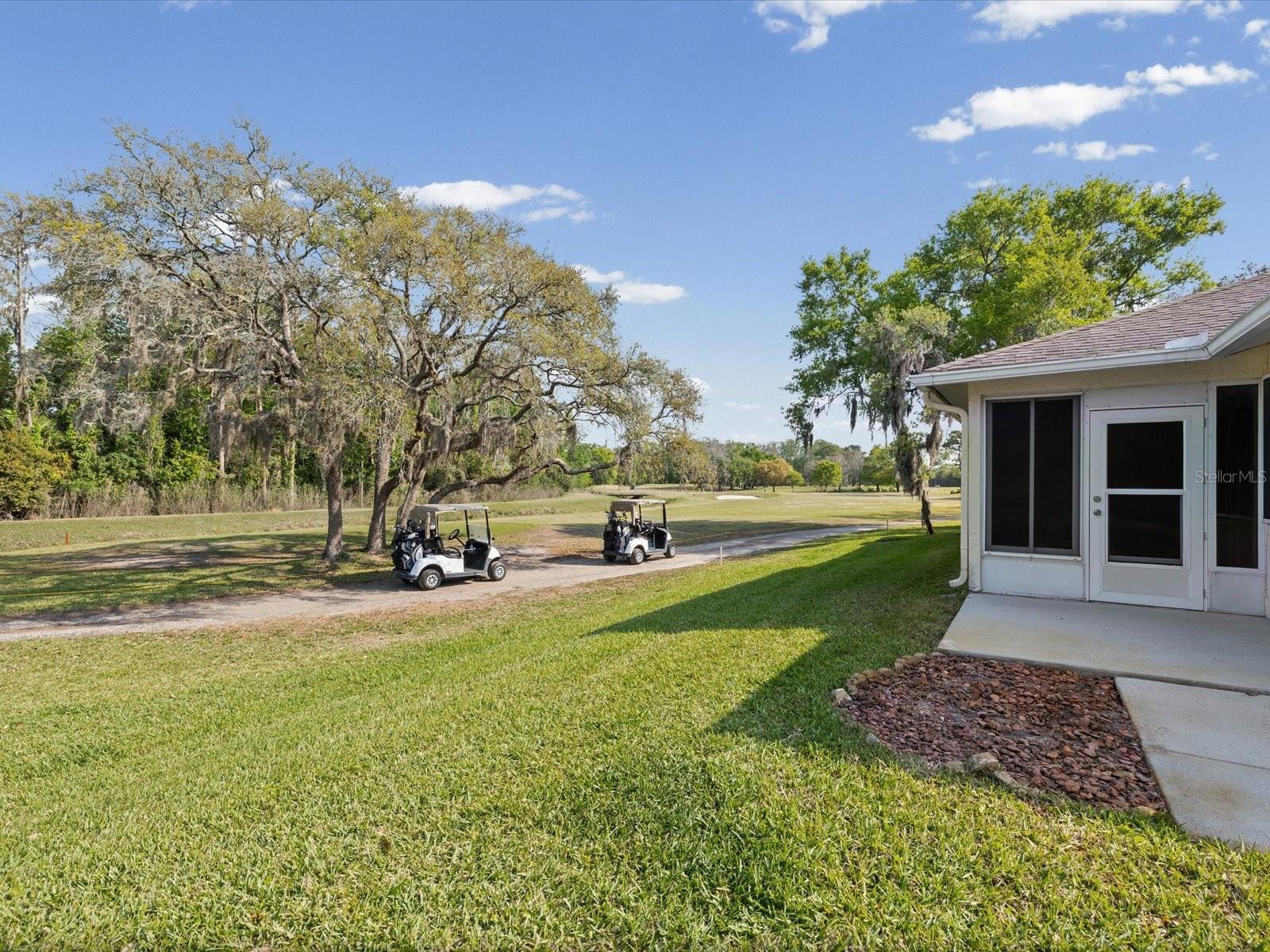 11621 HOLLY ANN DR, NEW PORT RICHEY, FL, 34654