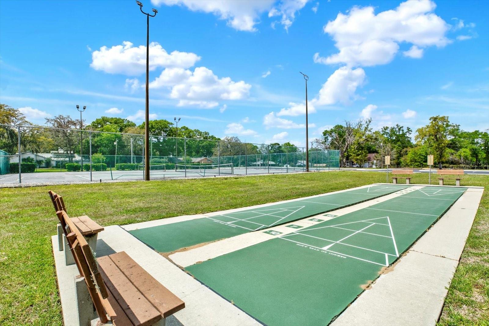 1155 E BLUEBIRD CT, HERNANDO, FL, 34442