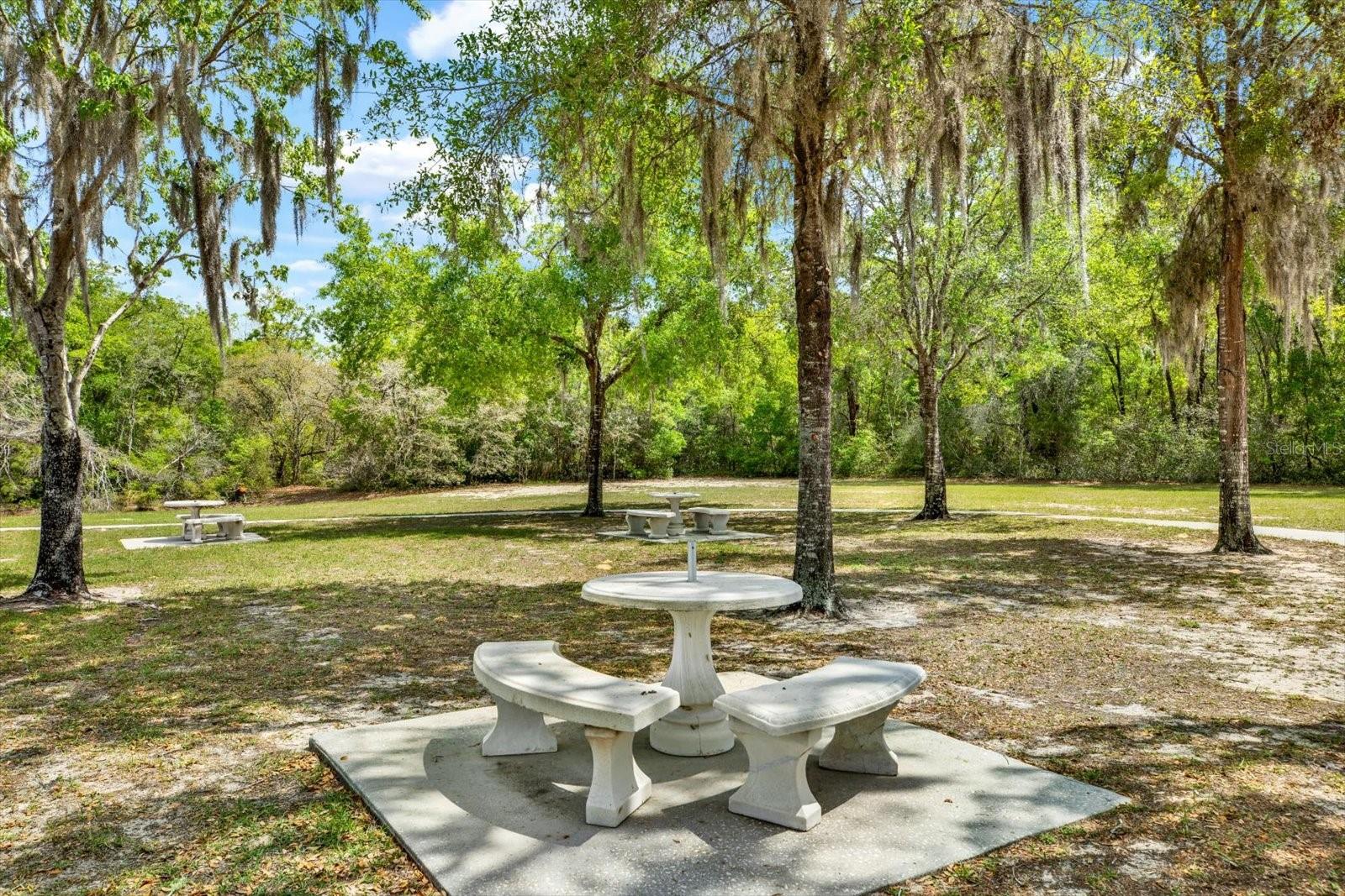 1155 E BLUEBIRD CT, HERNANDO, FL, 34442