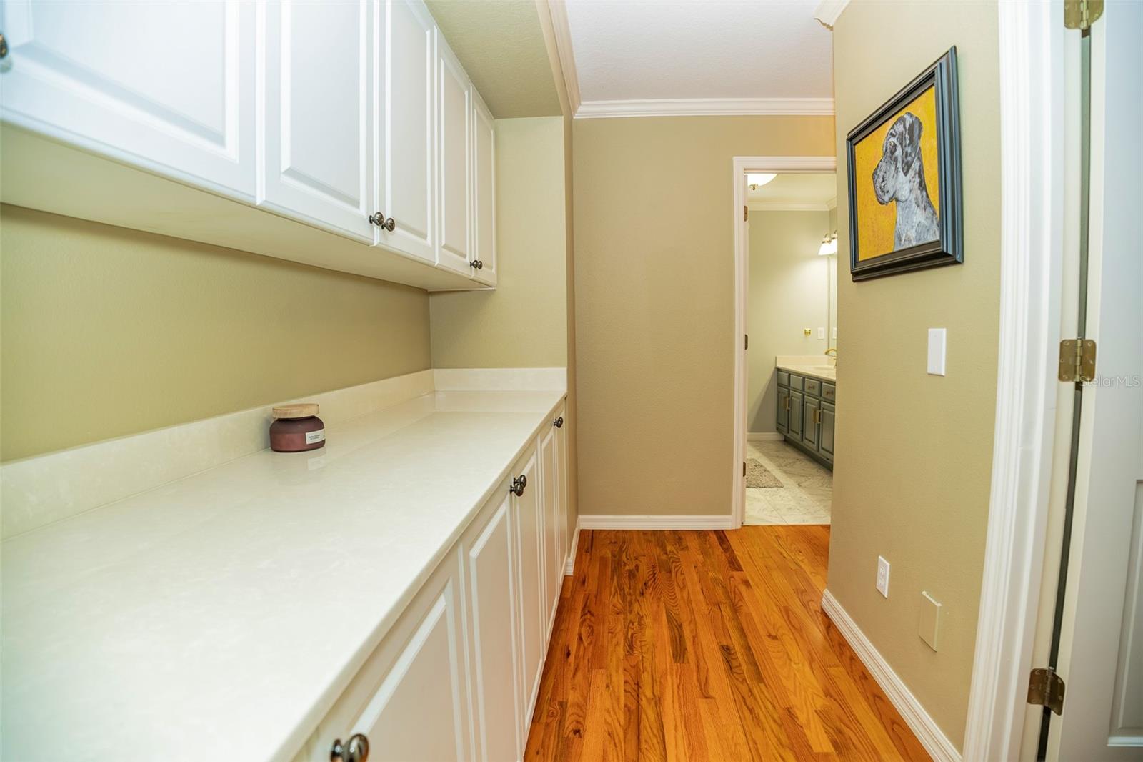1411 WYNGATE DR, DELAND, FL, 32724