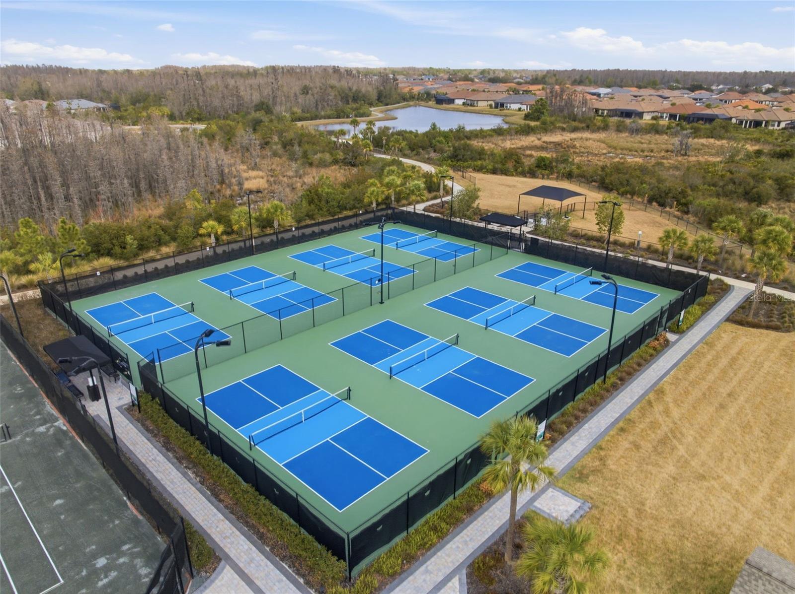 29485 VELLETRI LN, WESLEY CHAPEL, FL, 33543