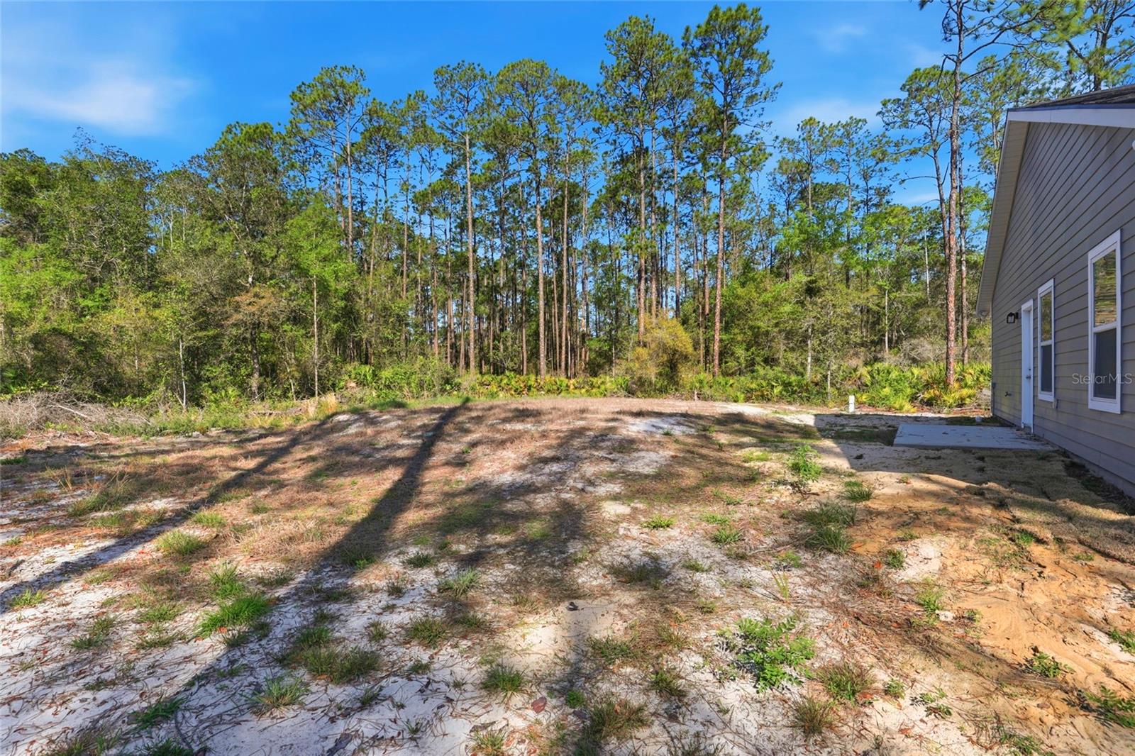 103 LONG RD, INTERLACHEN, FL, 32148