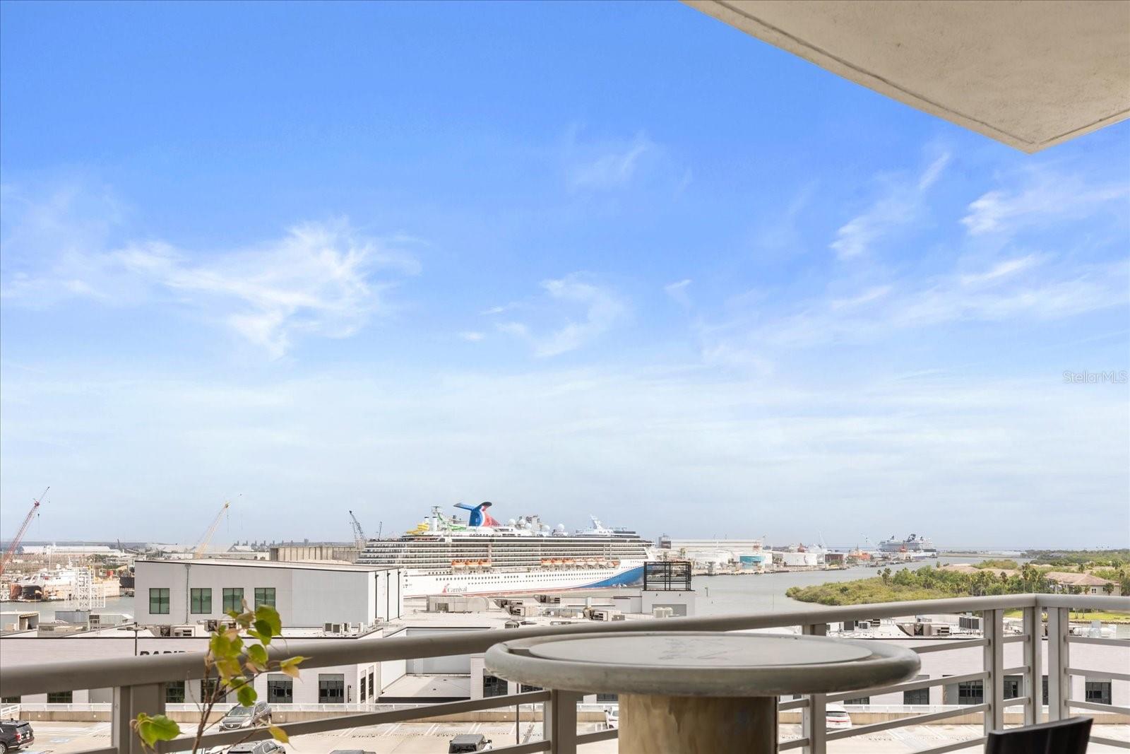 1209 E CUMBERLAND AVE #807, TAMPA, FL, 33602