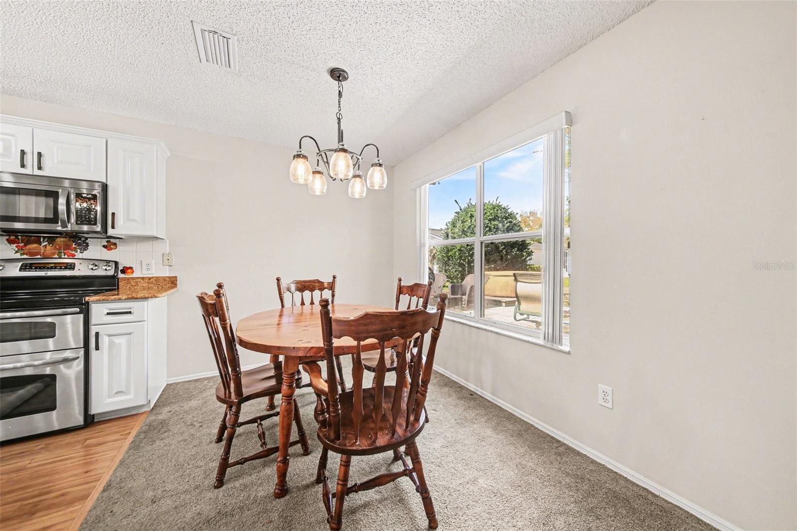 1239 CHAPARRAL DR, THE VILLAGES, FL, 32159