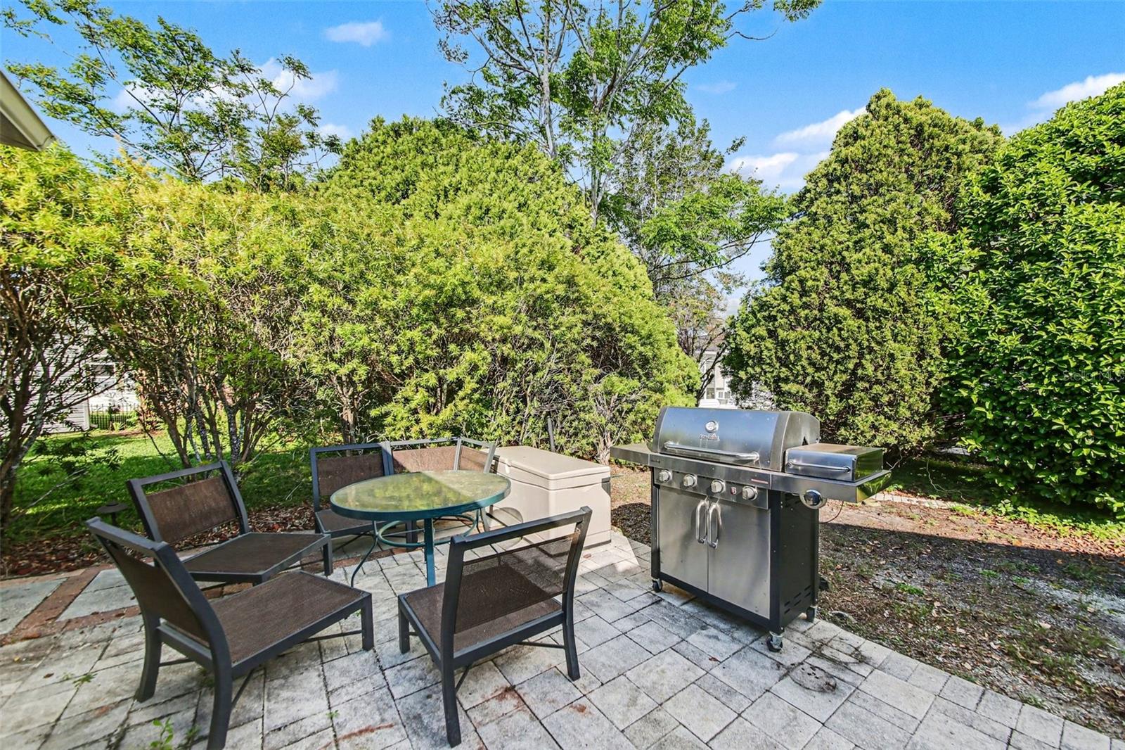 1239 CHAPARRAL DR, THE VILLAGES, FL, 32159