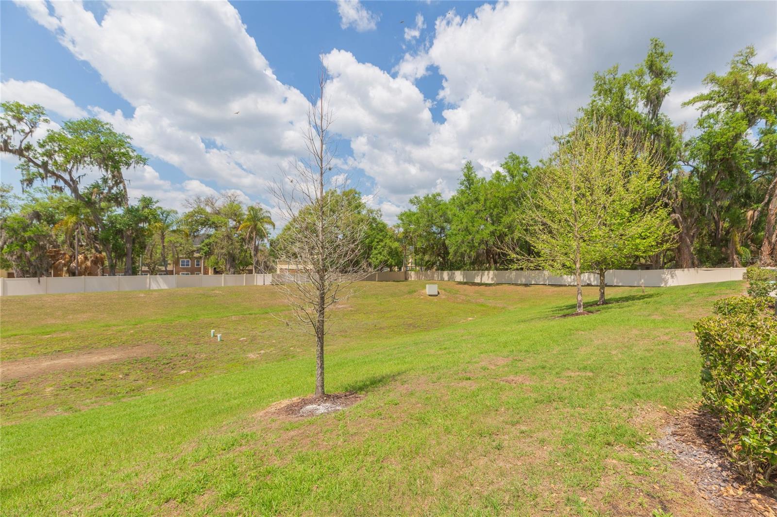 4734 SPATTER DOCK ST, TAMPA, FL, 33610
