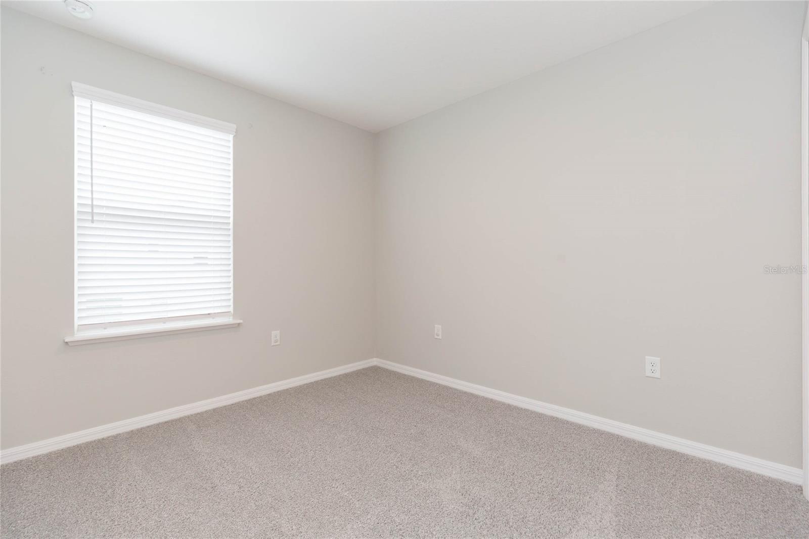 4734 SPATTER DOCK ST, TAMPA, FL, 33610