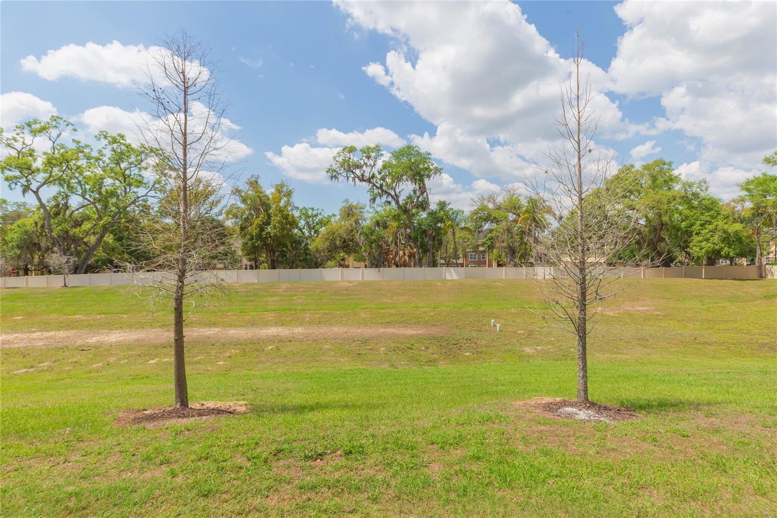 4734 SPATTER DOCK ST, TAMPA, FL, 33610