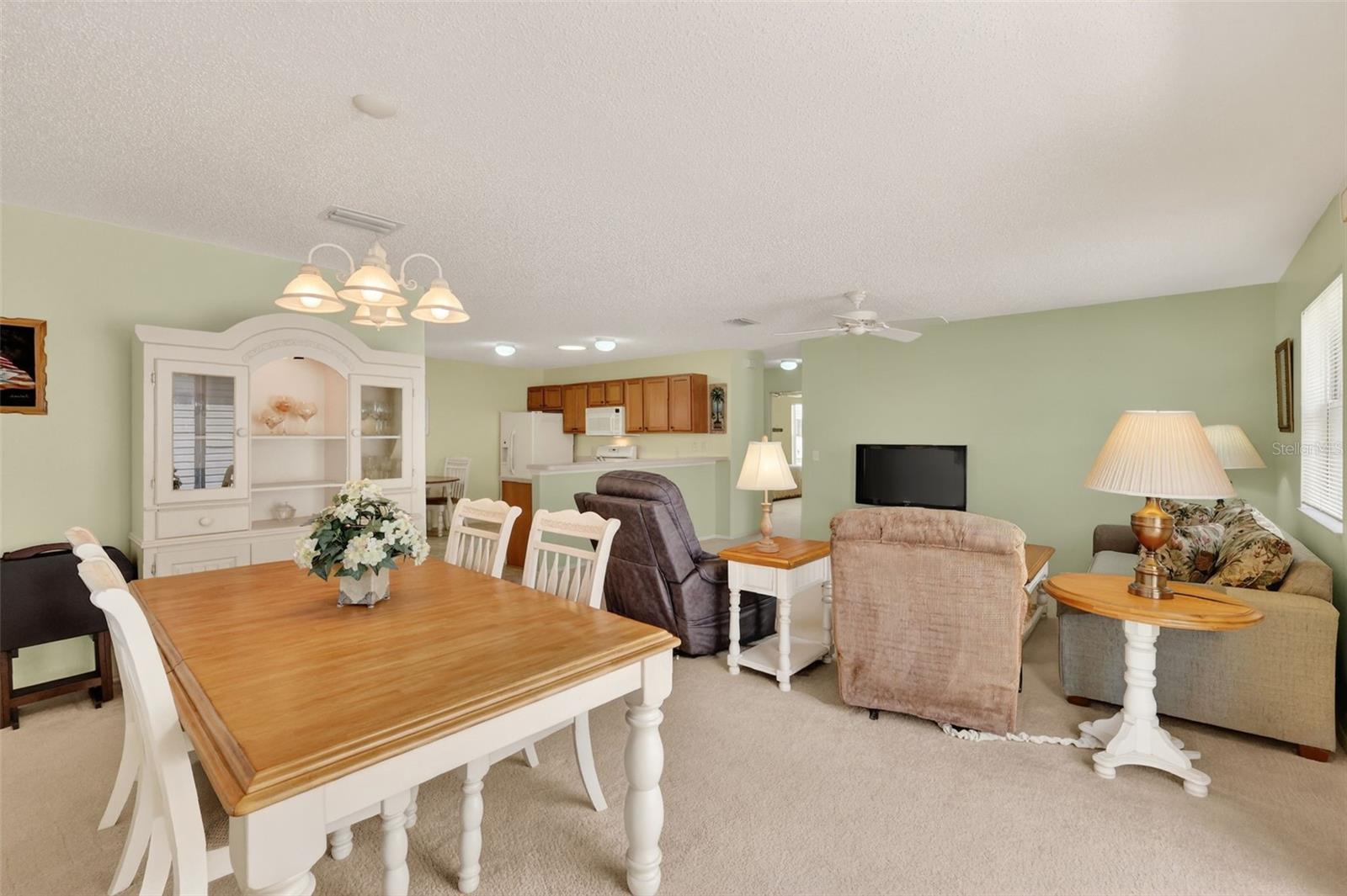 2376 BRANCHVILLE TER, THE VILLAGES, FL, 32162