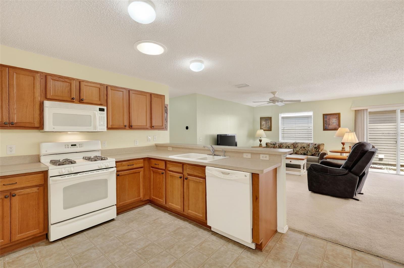 2376 BRANCHVILLE TER, THE VILLAGES, FL, 32162