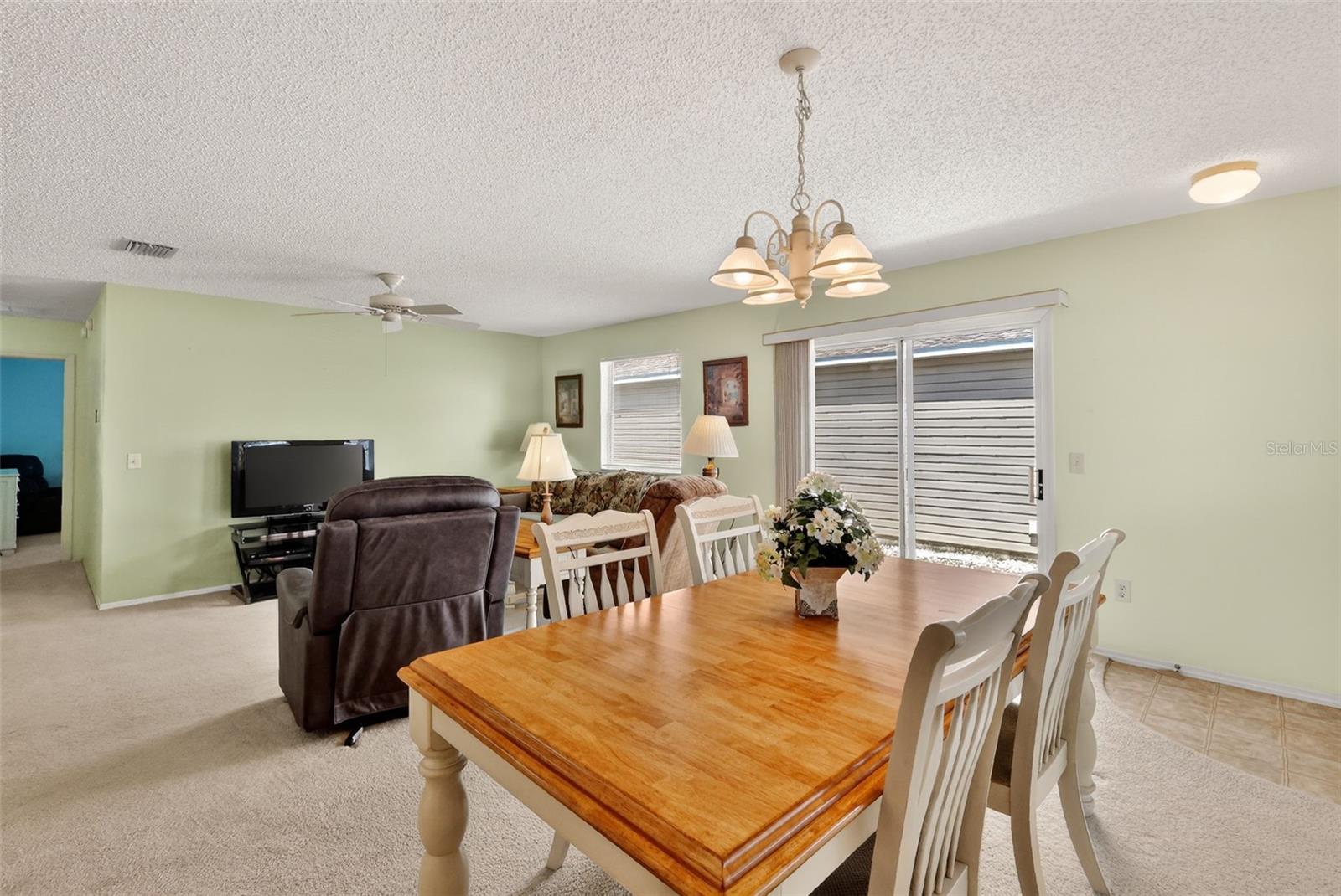 2376 BRANCHVILLE TER, THE VILLAGES, FL, 32162