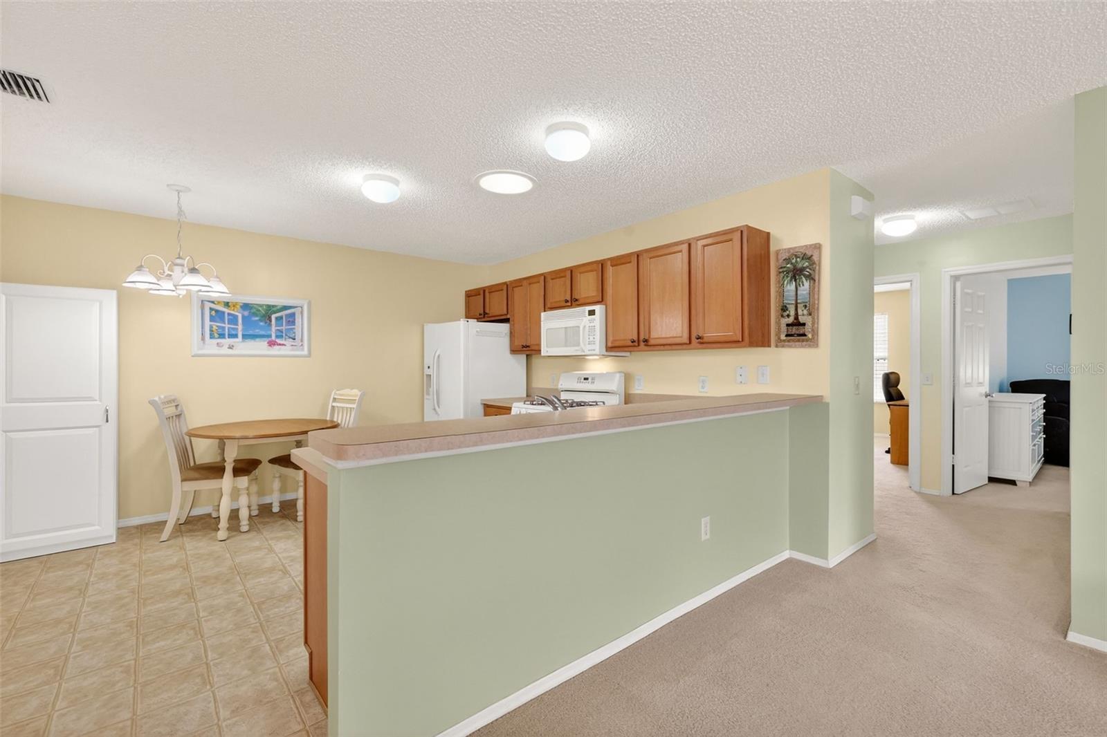 2376 BRANCHVILLE TER, THE VILLAGES, FL, 32162