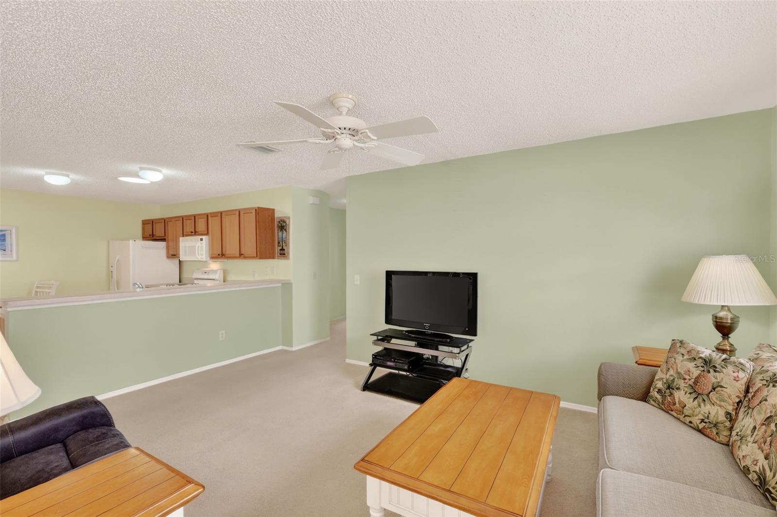2376 BRANCHVILLE TER, THE VILLAGES, FL, 32162